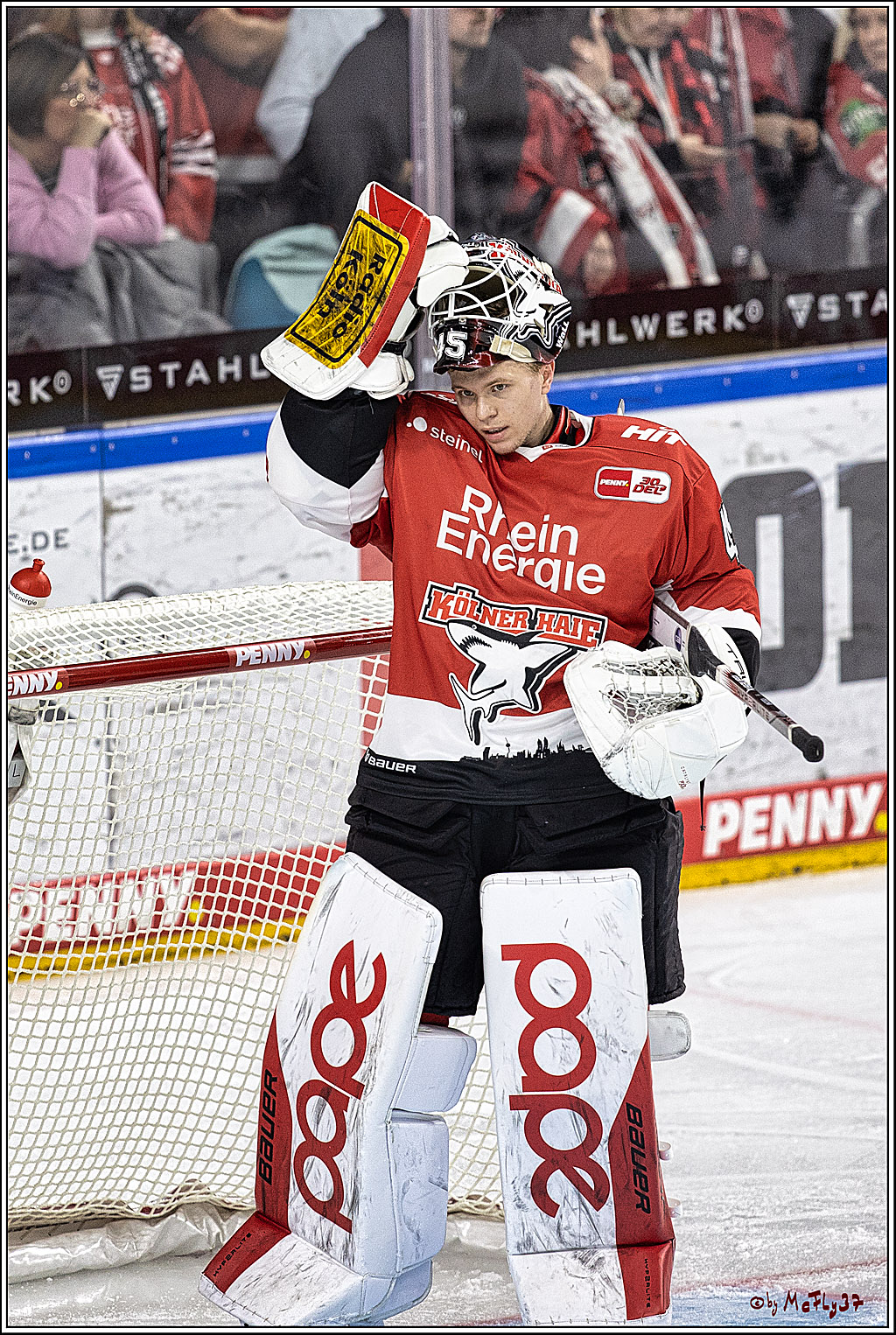 PENNY DEL 1. Koelner Haie - Augsburger Panther; Koeln, 19.11.2023