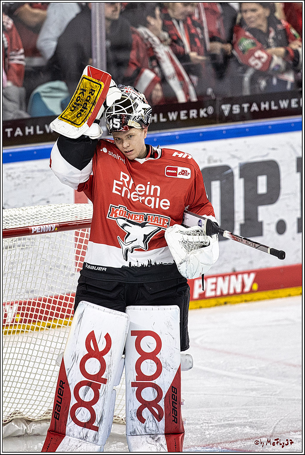 PENNY DEL 1. Koelner Haie - Augsburger Panther; Koeln, 19.11.2023