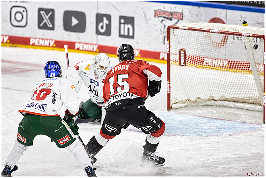 PENNY DEL 1. Koelner Haie - Augsburger Panther; Koeln, 19.11.2023
