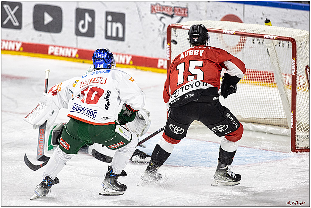 PENNY DEL 1. Koelner Haie - Augsburger Panther; Koeln, 19.11.2023