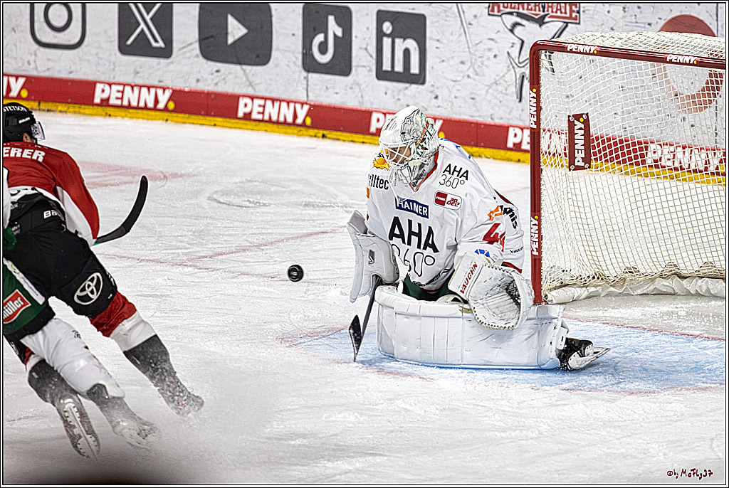 PENNY DEL 1. Koelner Haie - Augsburger Panther; Koeln, 19.11.2023