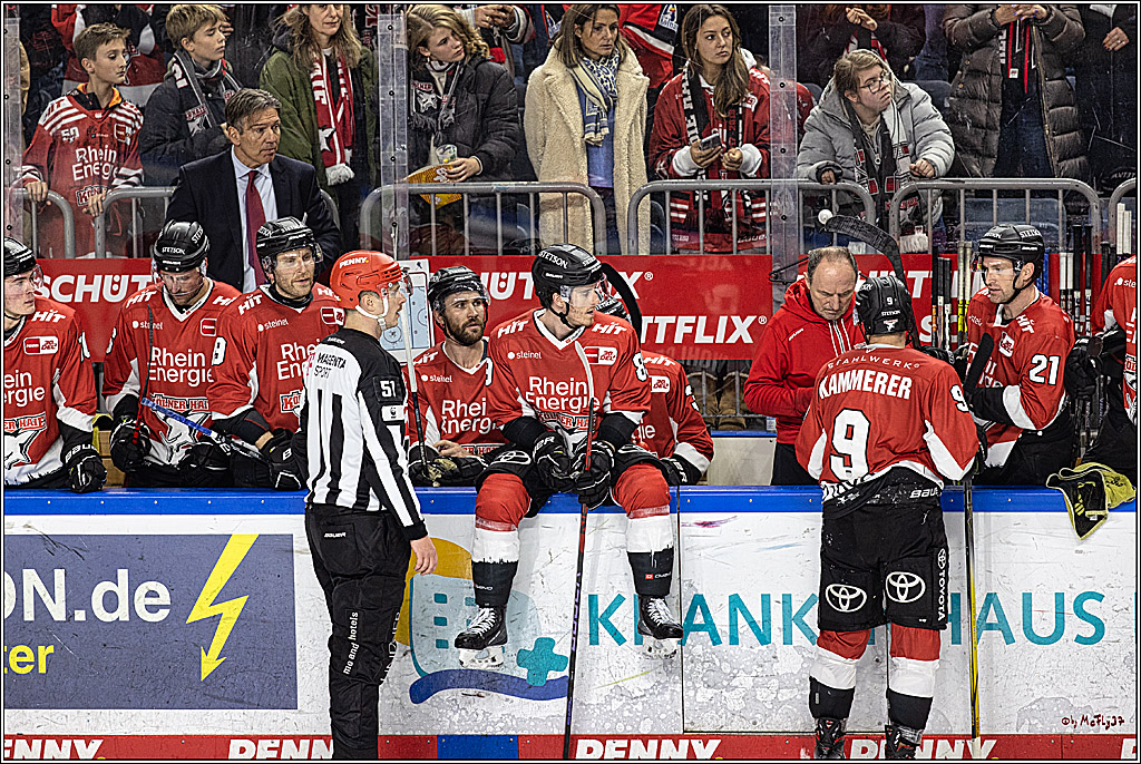 PENNY DEL 1. Koelner Haie - Augsburger Panther; Koeln, 19.11.2023