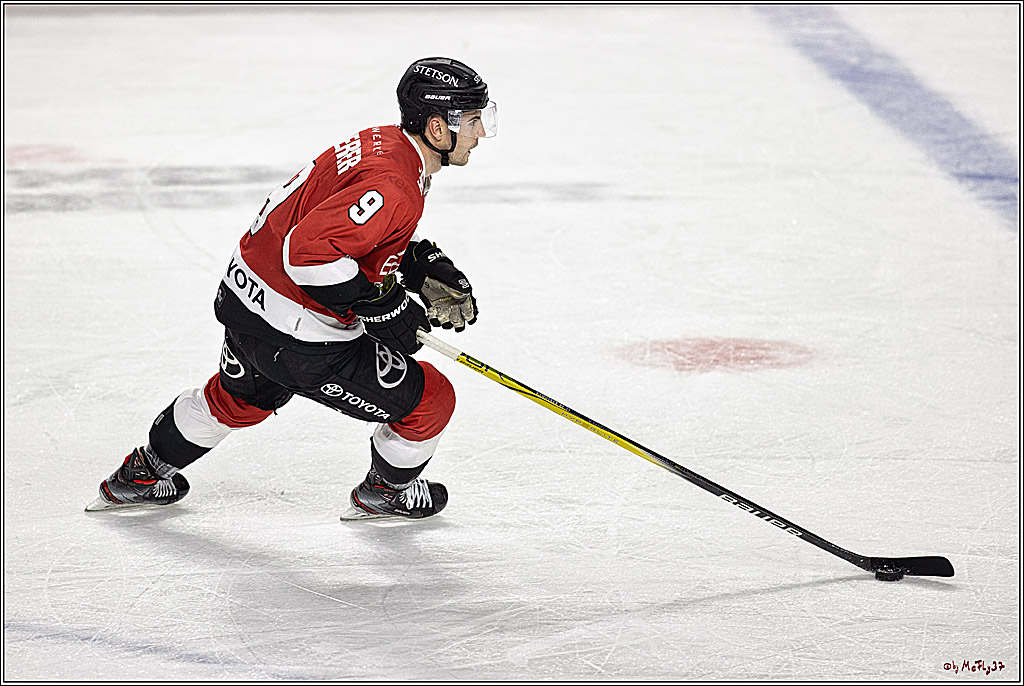 PENNY DEL 1. Koelner Haie - Augsburger Panther; Koeln, 19.11.2023