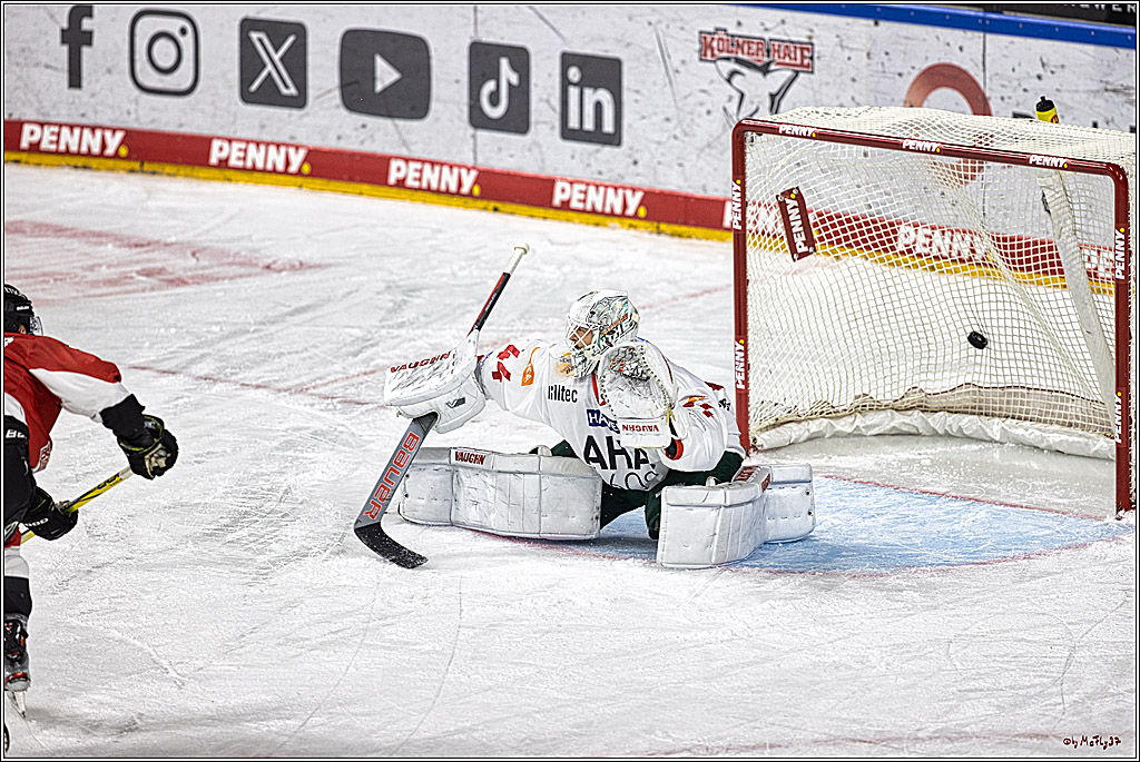 PENNY DEL 1. Koelner Haie - Augsburger Panther; Koeln, 19.11.2023
