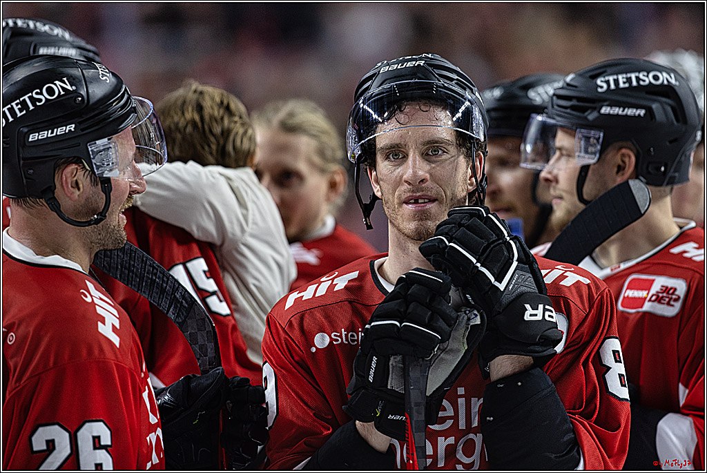 PENNY DEL 1. Koelner Haie - Augsburger Panther; Koeln, 19.11.2023