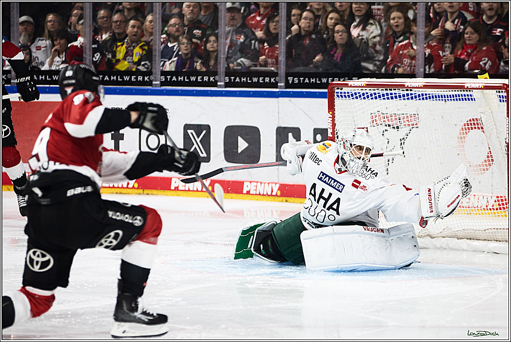 PENNY DEL; Koelner Haie-Augsburger Panthers; Koeln, 19.11.2023