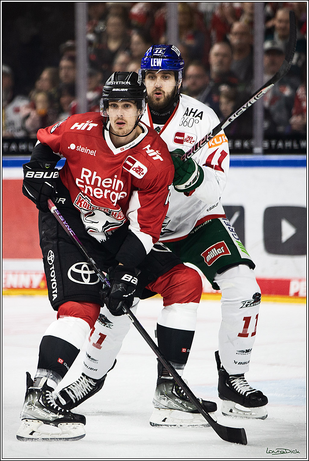 PENNY DEL; Koelner Haie-Augsburger Panthers; Koeln, 19.11.2023