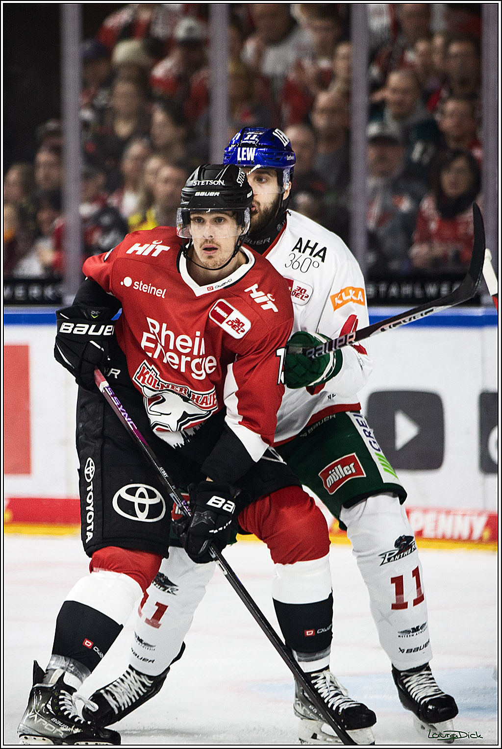 PENNY DEL; Koelner Haie-Augsburger Panthers; Koeln, 19.11.2023