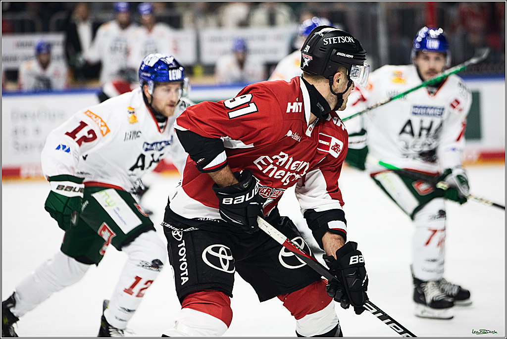 PENNY DEL; Koelner Haie-Augsburger Panthers; Koeln, 19.11.2023