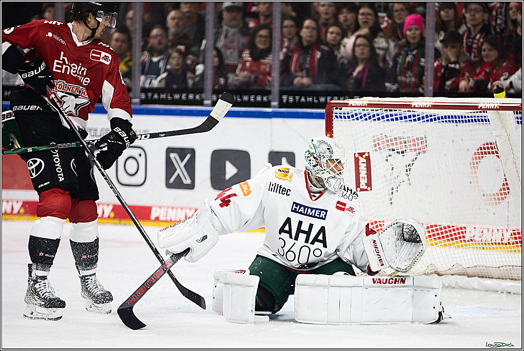 PENNY DEL; Koelner Haie-Augsburger Panthers; Koeln, 19.11.2023