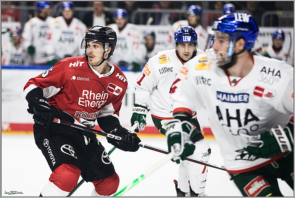 PENNY DEL; Koelner Haie-Augsburger Panthers; Koeln, 19.11.2023
