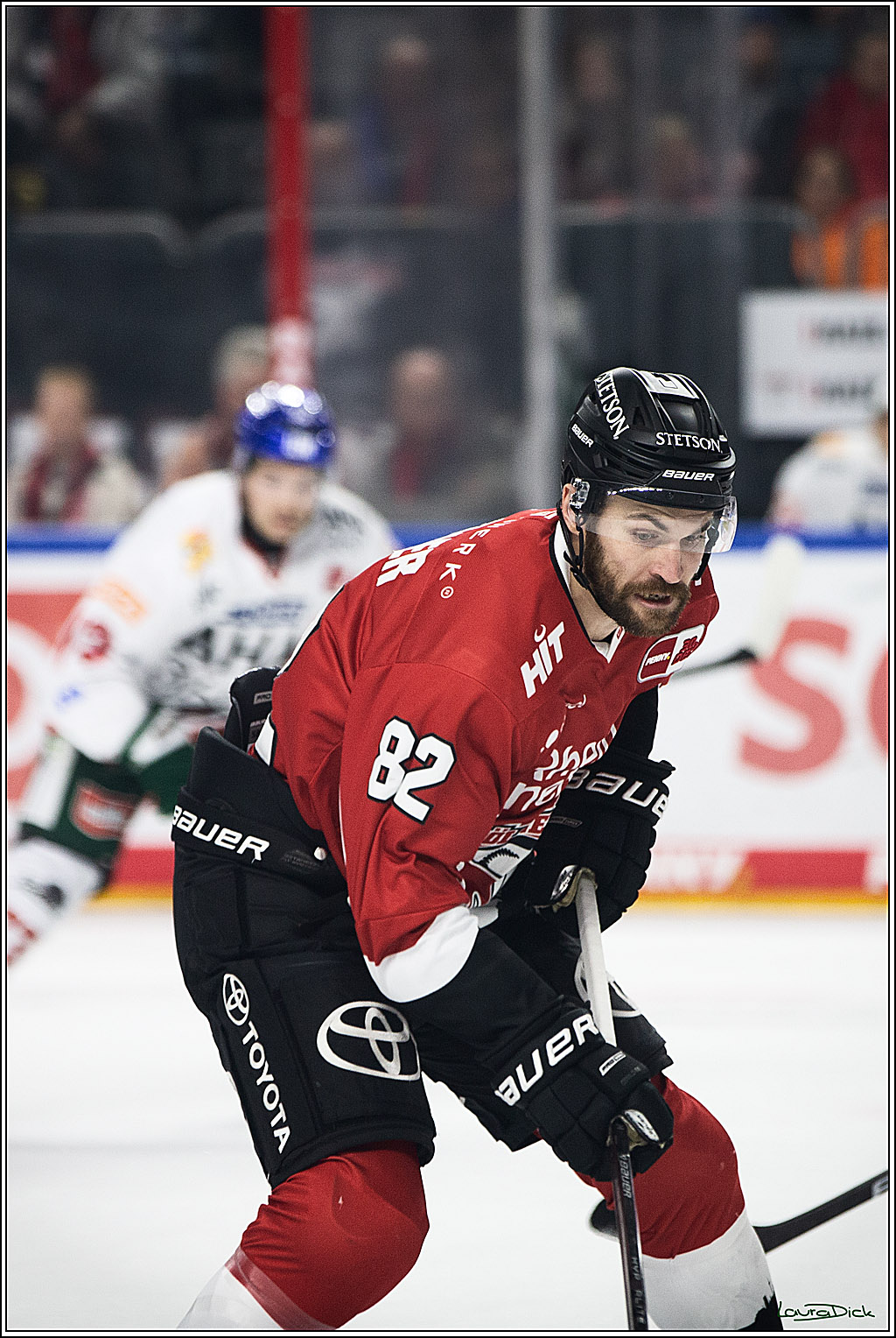 PENNY DEL; Koelner Haie-Augsburger Panthers; Koeln, 19.11.2023