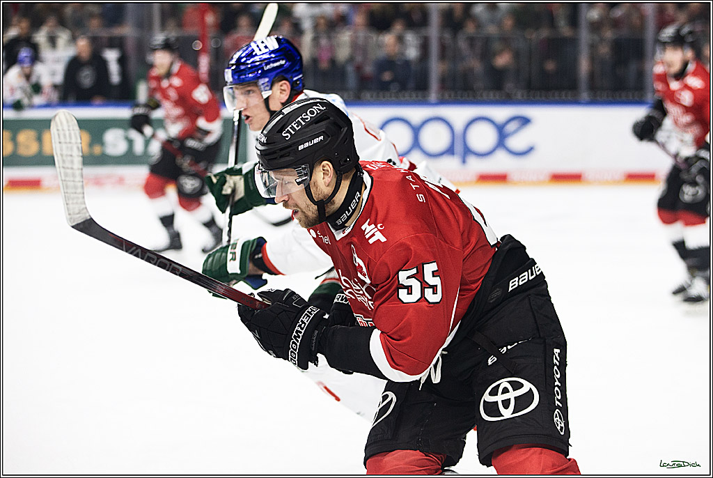 PENNY DEL; Koelner Haie-Augsburger Panthers; Koeln, 19.11.2023