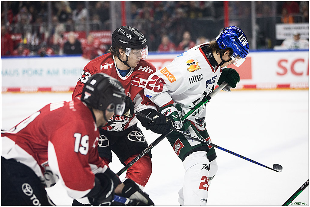 PENNY DEL; Koelner Haie-Augsburger Panthers; Koeln, 19.11.2023