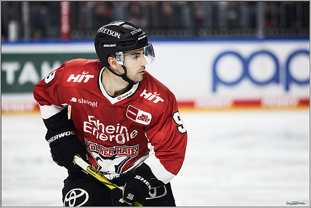 PENNY DEL; Koelner Haie-Augsburger Panthers; Koeln, 19.11.2023