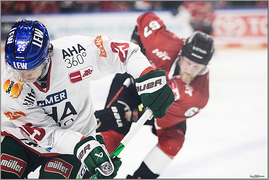 PENNY DEL; Koelner Haie-Augsburger Panthers; Koeln, 19.11.2023