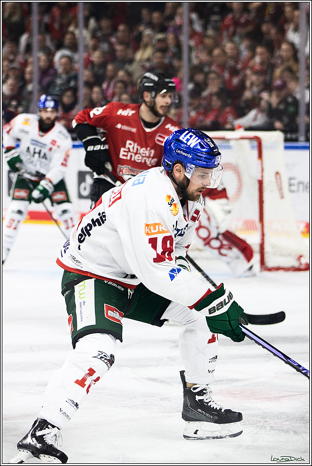 PENNY DEL; Koelner Haie-Augsburger Panthers; Koeln, 19.11.2023