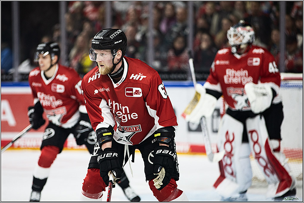 PENNY DEL; Koelner Haie-Augsburger Panthers; Koeln, 19.11.2023