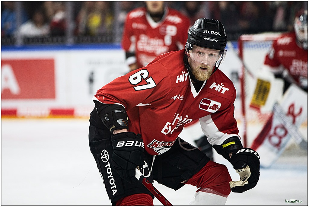 PENNY DEL; Koelner Haie-Augsburger Panthers; Koeln, 19.11.2023
