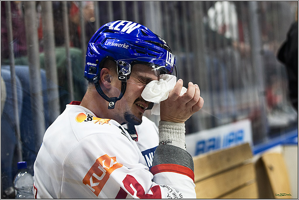 PENNY DEL; Koelner Haie-Augsburger Panthers; Koeln, 19.11.2023