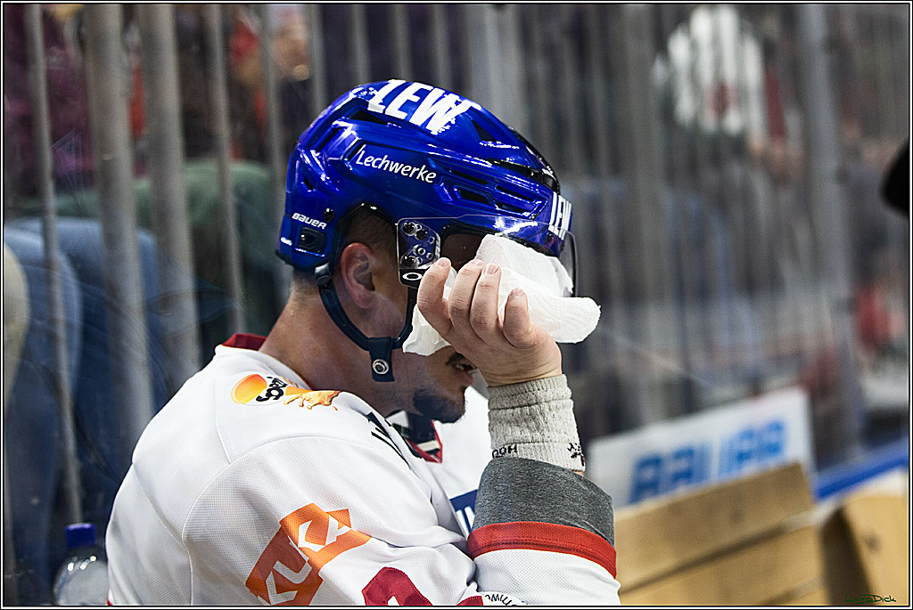PENNY DEL; Koelner Haie-Augsburger Panthers; Koeln, 19.11.2023