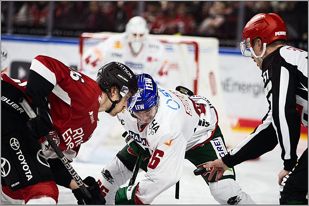 PENNY DEL; Koelner Haie-Augsburger Panthers; Koeln, 19.11.2023