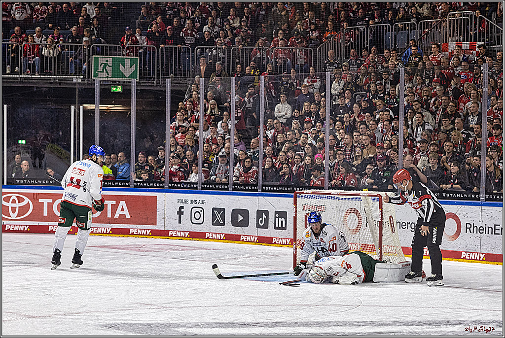 PENNY DEL 1. Koelner Haie - Augsburger Panther; Koeln, 19.11.2023