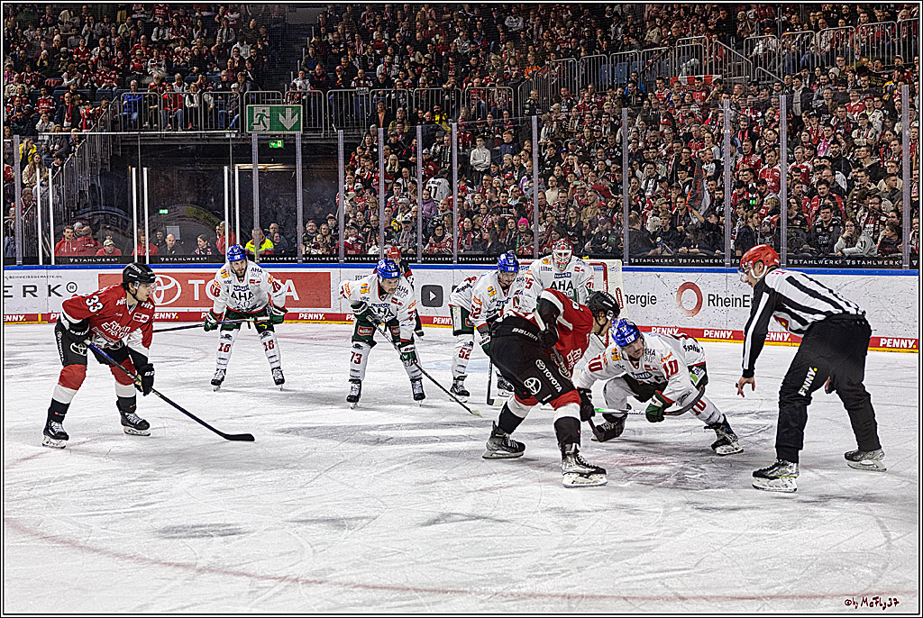 PENNY DEL 1. Koelner Haie - Augsburger Panther; Koeln, 19.11.2023