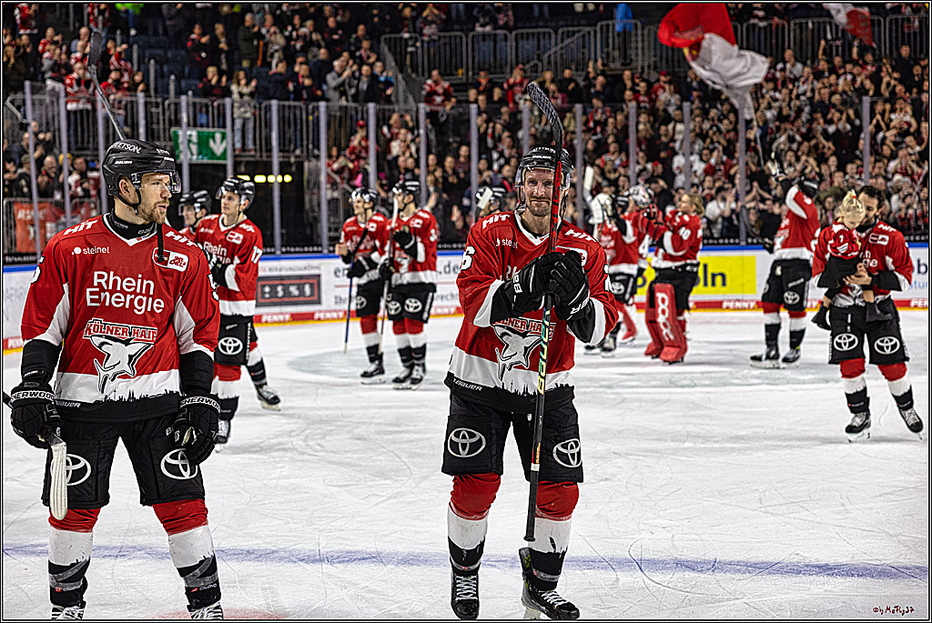 PENNY DEL 1. Koelner Haie - Augsburger Panther; Koeln, 19.11.2023