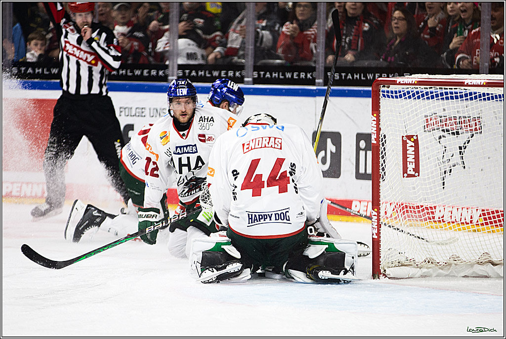 PENNY DEL; Koelner Haie-Augsburger Panthers; Koeln, 19.11.2023
