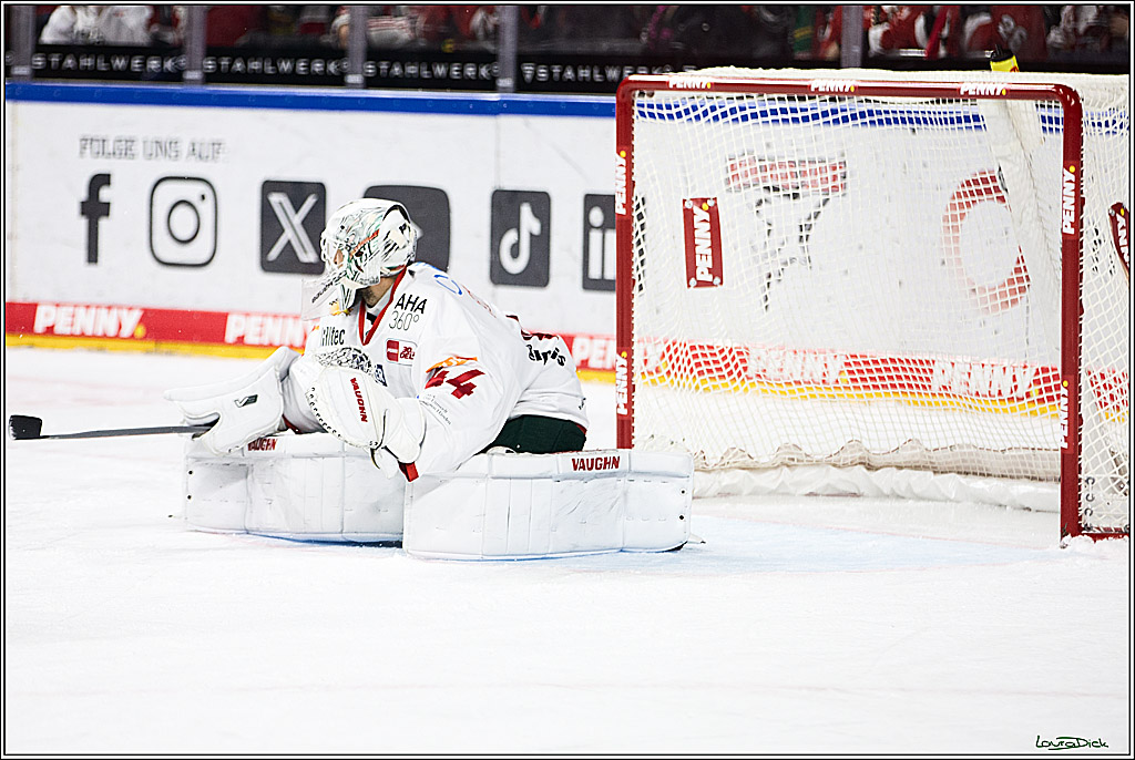 PENNY DEL; Koelner Haie-Augsburger Panthers; Koeln, 19.11.2023