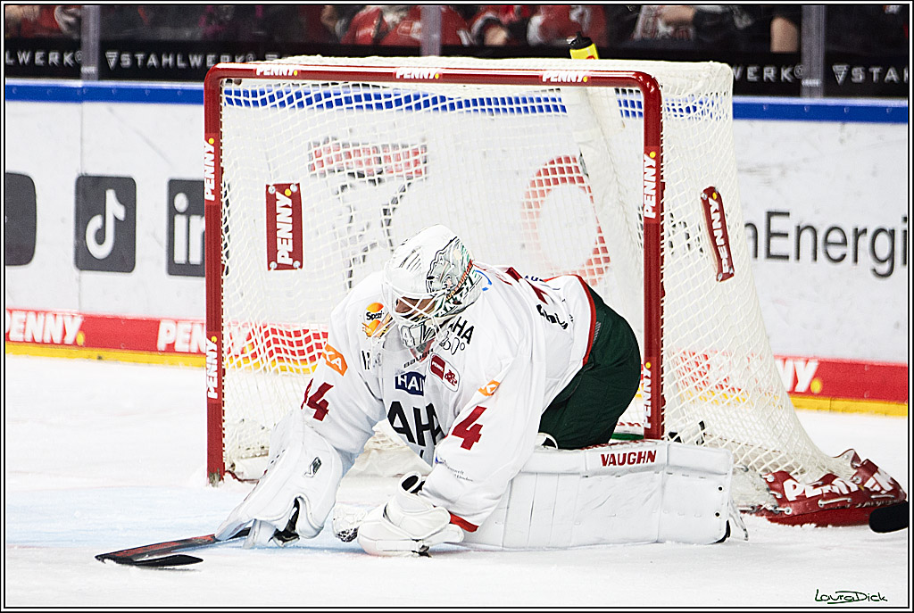PENNY DEL; Koelner Haie-Augsburger Panthers; Koeln, 19.11.2023