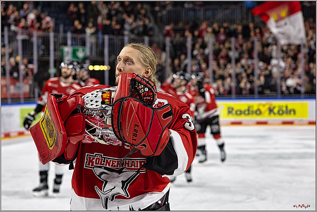 PENNY DEL 1. Koelner Haie - Augsburger Panther; Koeln, 19.11.2023