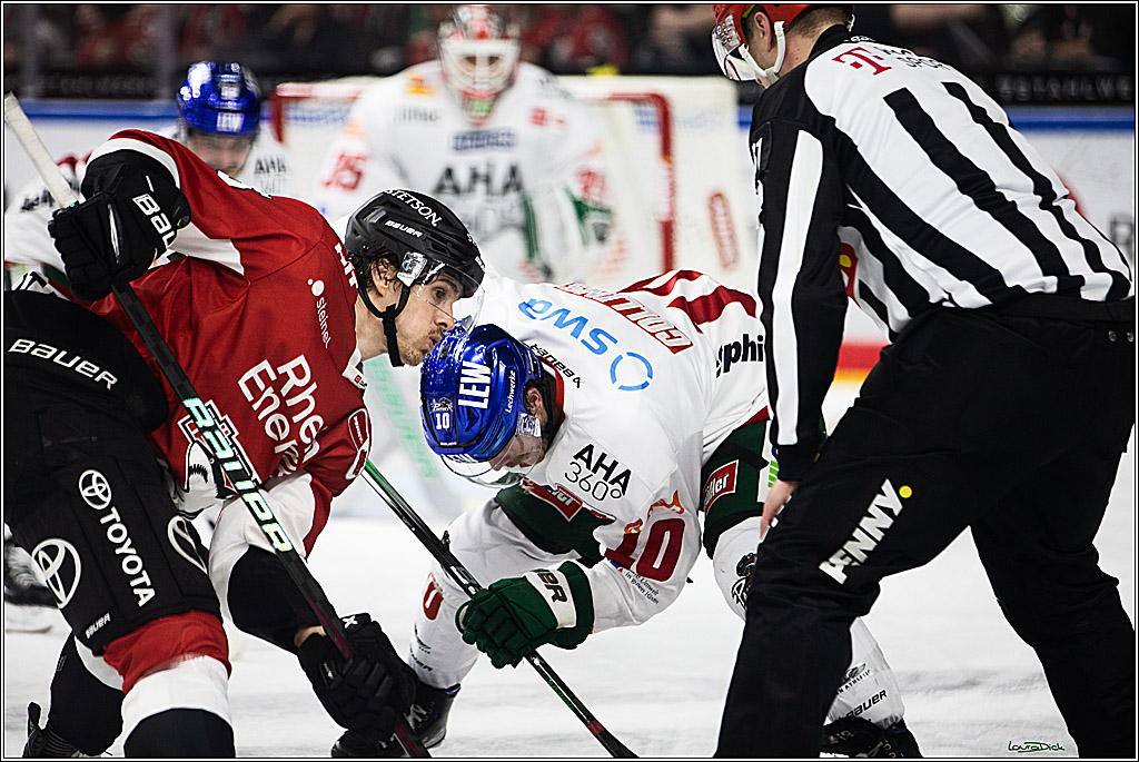PENNY DEL; Koelner Haie-Augsburger Panthers; Koeln, 19.11.2023