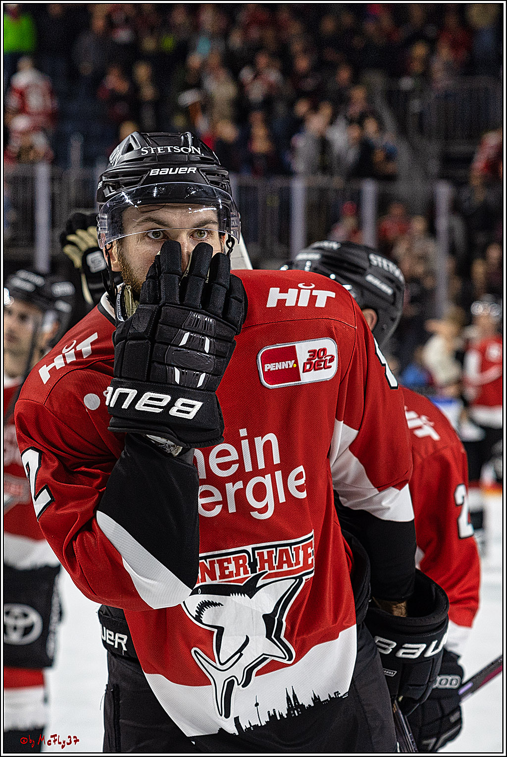 PENNY DEL 1. Koelner Haie - Augsburger Panther; Koeln, 19.11.2023