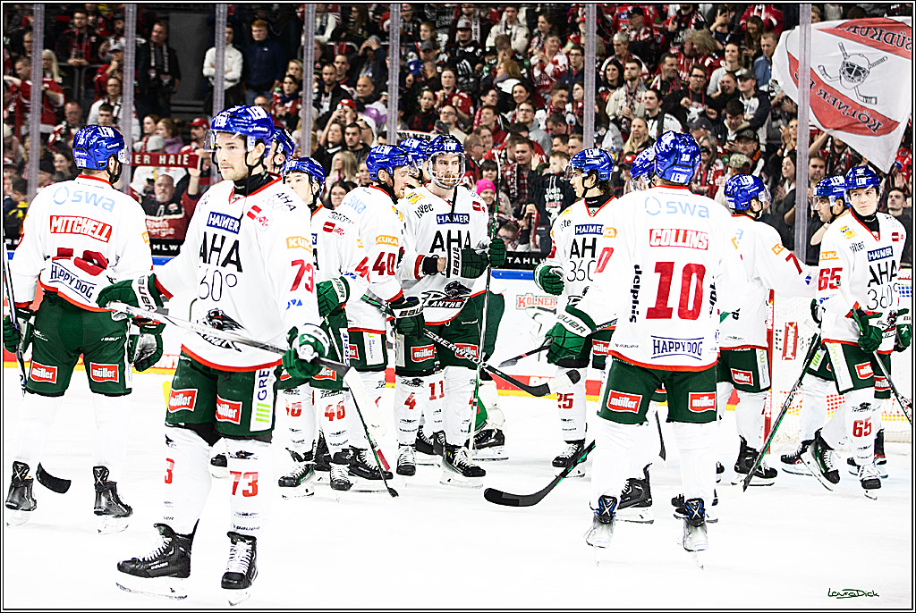 PENNY DEL; Koelner Haie-Augsburger Panthers; Koeln, 19.11.2023