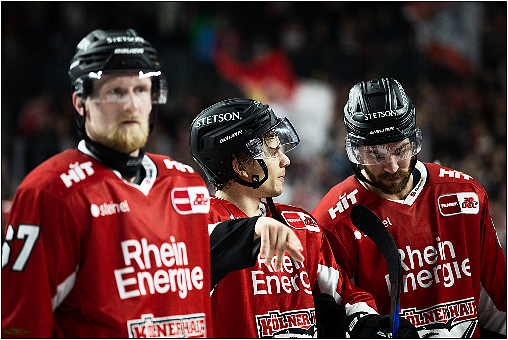 PENNY DEL; Koelner Haie-Augsburger Panthers; Koeln, 19.11.2023