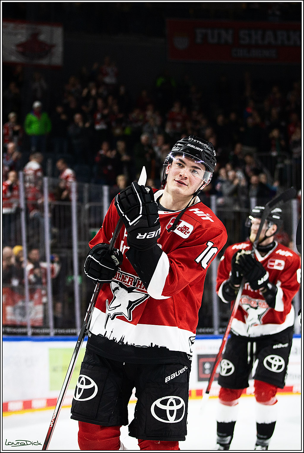 PENNY DEL; Koelner Haie-Augsburger Panthers; Koeln, 19.11.2023