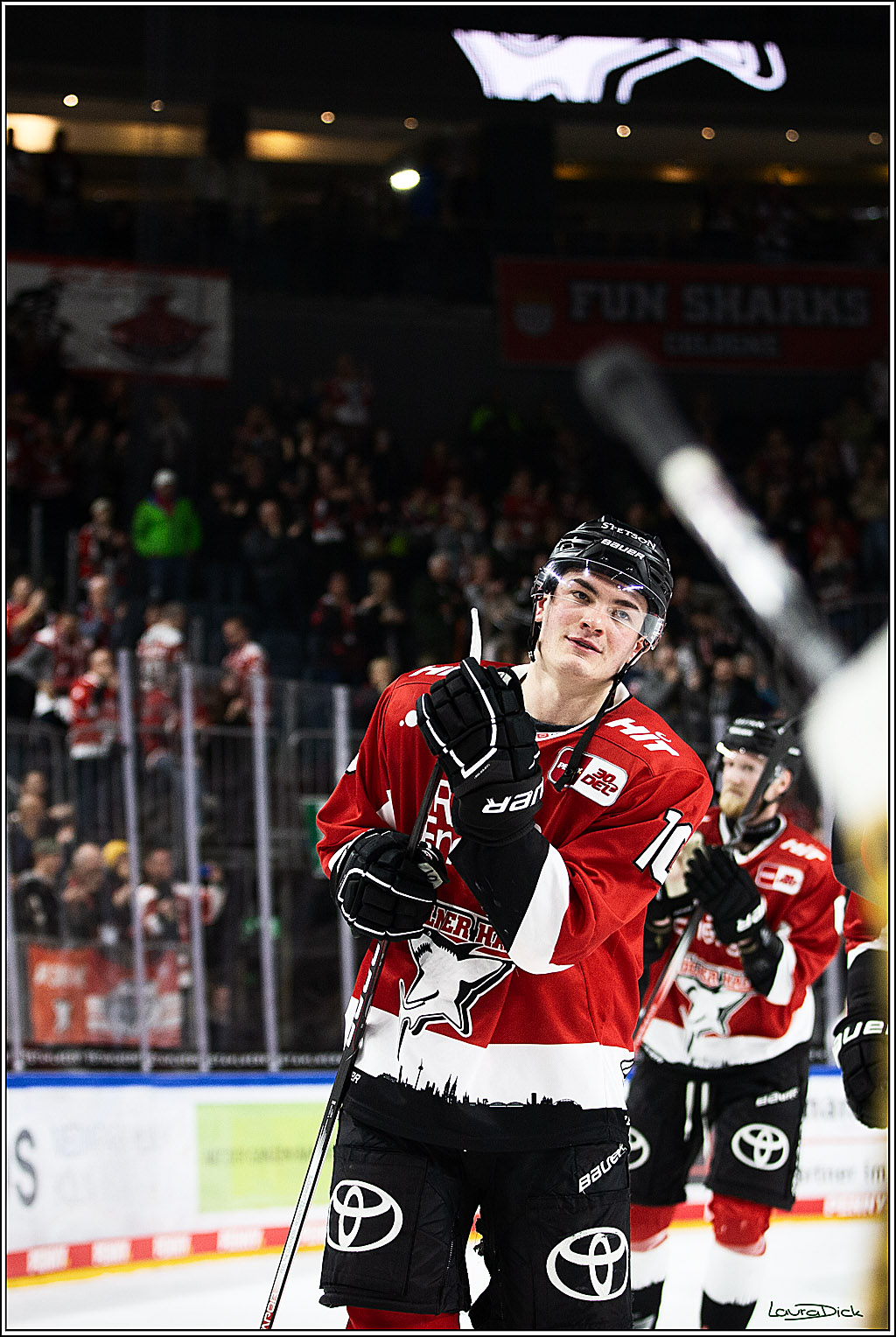 PENNY DEL; Koelner Haie-Augsburger Panthers; Koeln, 19.11.2023