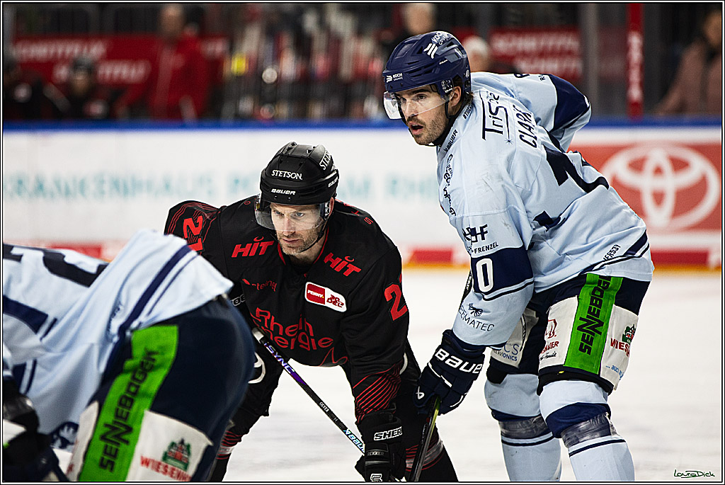 PENNY DEL; Koelner Haie-Straubing Tigers; Koeln, 24.11.2023