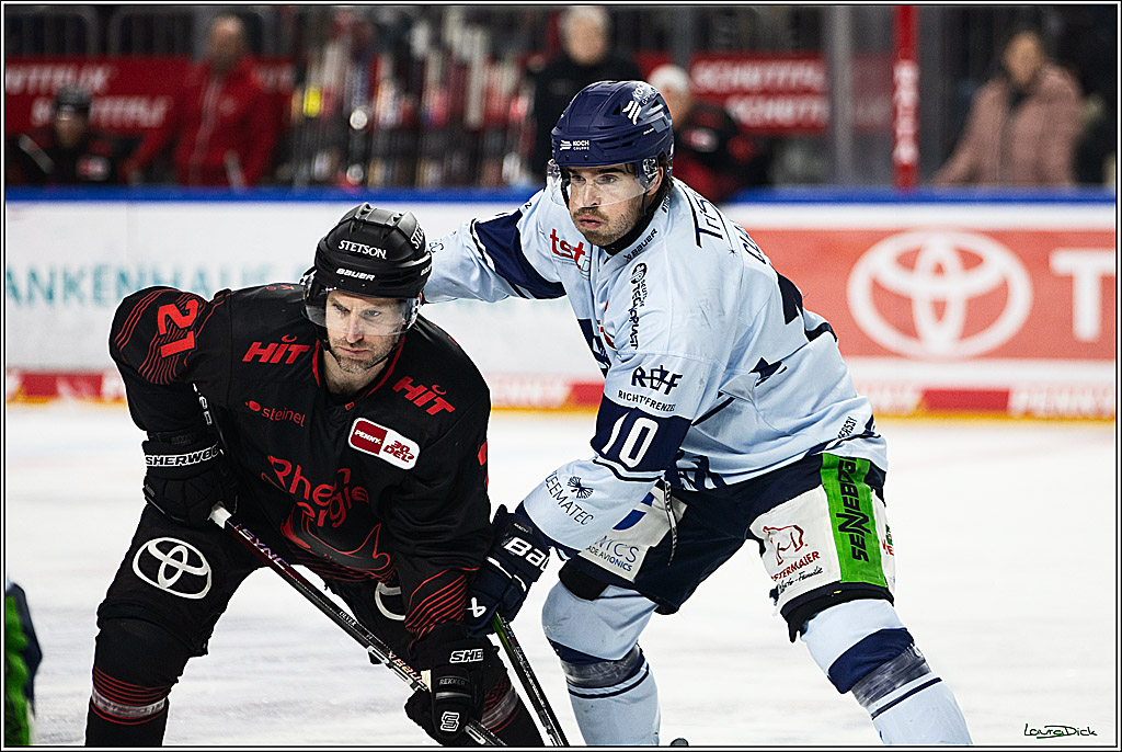 PENNY DEL; Koelner Haie-Straubing Tigers; Koeln, 24.11.2023