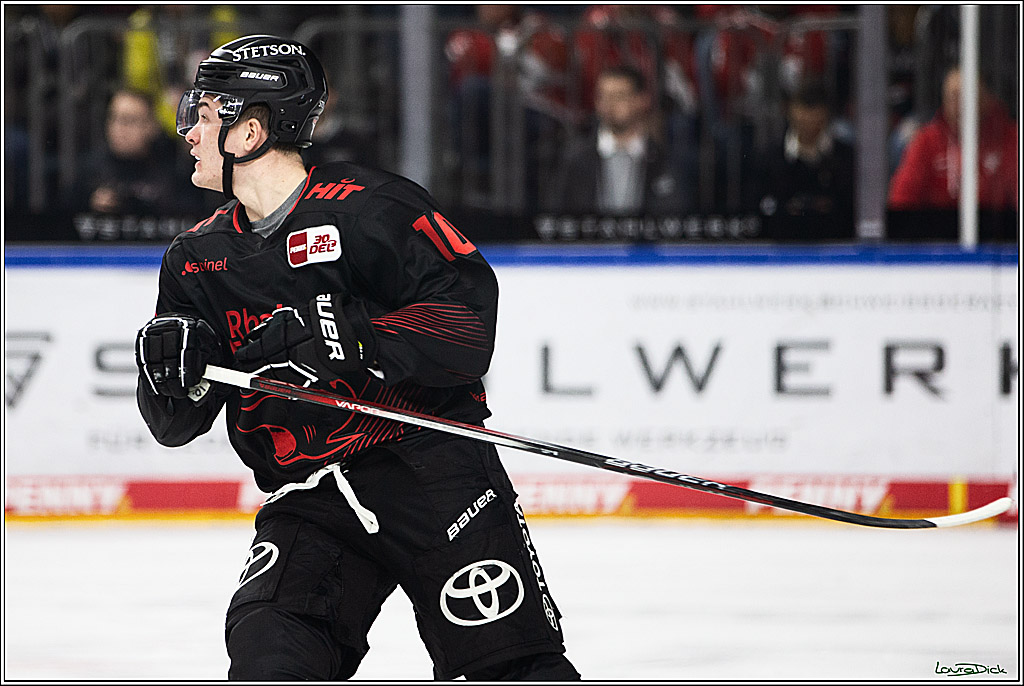 PENNY DEL; Koelner Haie-Straubing Tigers; Koeln, 24.11.2023
