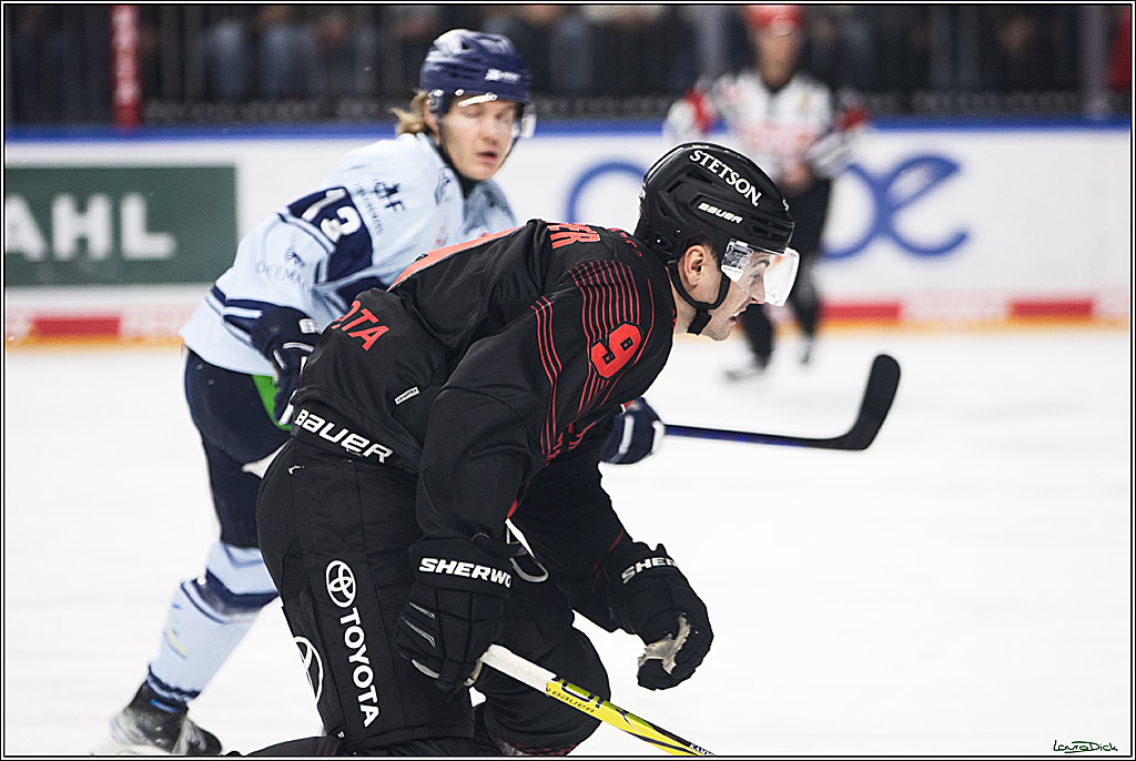 PENNY DEL; Koelner Haie-Straubing Tigers; Koeln, 24.11.2023