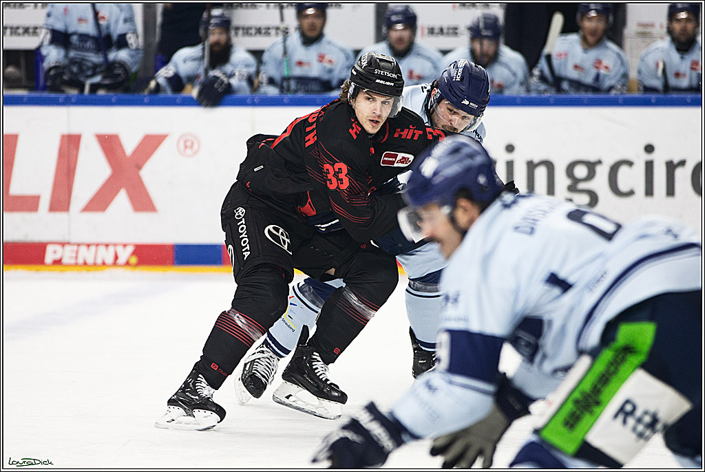 PENNY DEL; Koelner Haie-Straubing Tigers; Koeln, 24.11.2023