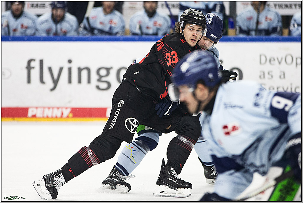 PENNY DEL; Koelner Haie-Straubing Tigers; Koeln, 24.11.2023