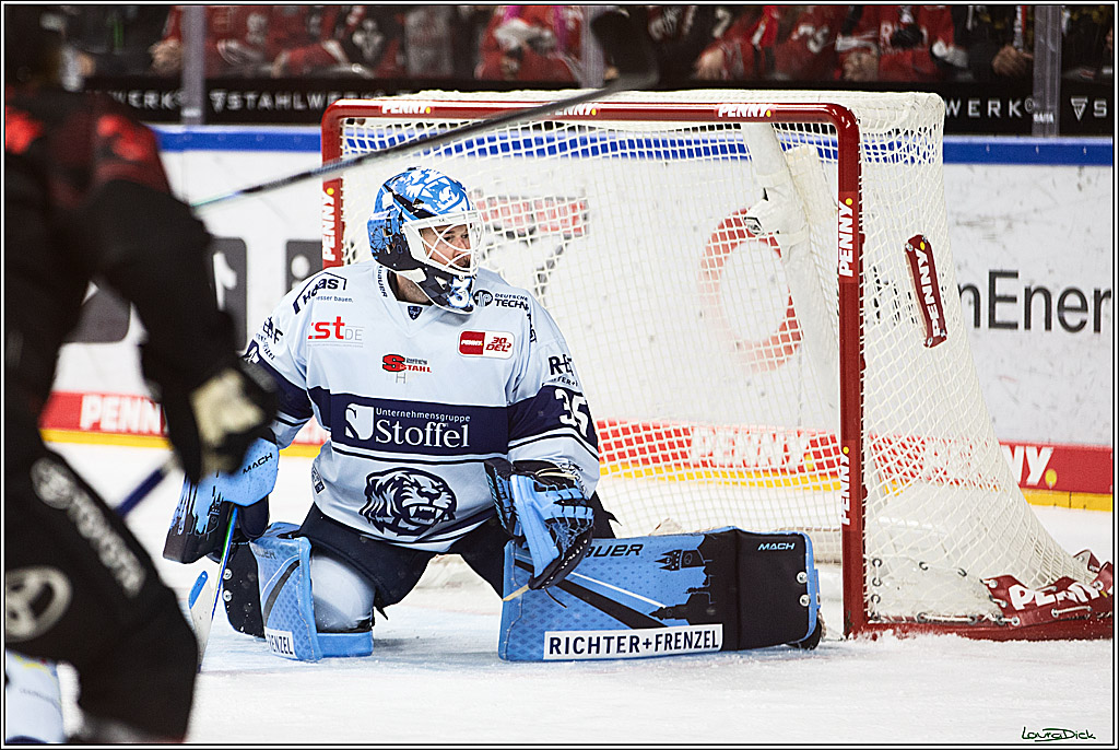 PENNY DEL; Koelner Haie-Straubing Tigers; Koeln, 24.11.2023
