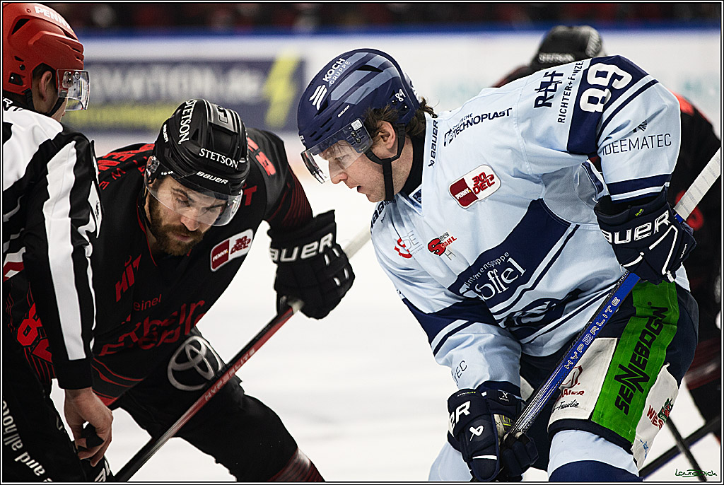 PENNY DEL; Koelner Haie-Straubing Tigers; Koeln, 24.11.2023