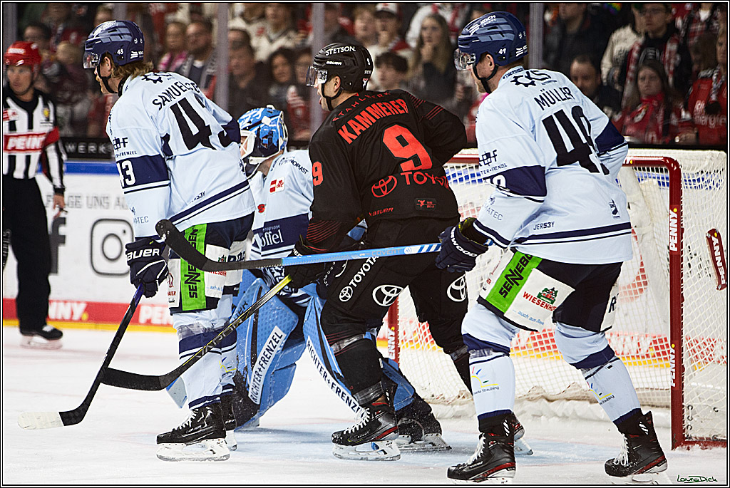 PENNY DEL; Koelner Haie-Straubing Tigers; Koeln, 24.11.2023