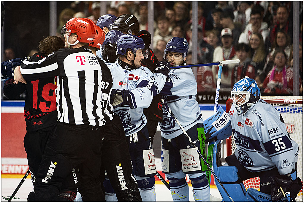 PENNY DEL; Koelner Haie-Straubing Tigers; Koeln, 24.11.2023