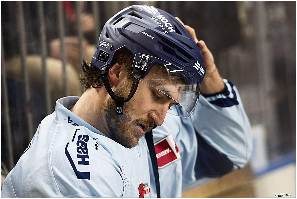 PENNY DEL; Koelner Haie-Straubing Tigers; Koeln, 24.11.2023